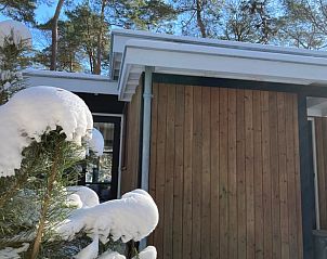 Unterkunft 322568 - Ferienhaus Veluwe - Vakantiehuisje in Otterlo