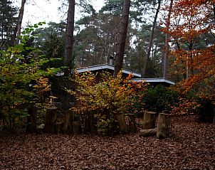 Unterkunft 322568 - Ferienhaus Veluwe - Vakantiehuisje in Otterlo
