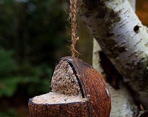 Unterkunft 322568 - Ferienhaus Veluwe - Vakantiehuisje in Otterlo