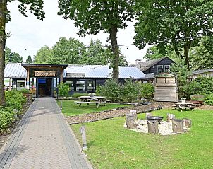 Guest house 322575 - Chalet Veluwe - Chalet in Otterlo