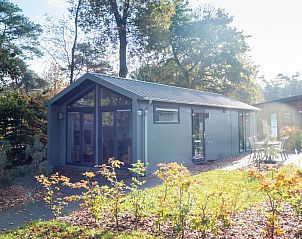 Unterkunft 322582 • Ferienhaus Veluwe • Berkel 4 