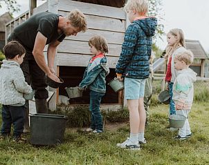 Kinderen helpen bij dierenverzorging in Huisje in Oosterwolde, bed and breakfast in Oosterwolde, Veluwe.