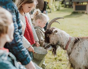 Kinderen ontmoeten geit bij Huisje in Oosterwolde, bed and breakfast op de Veluwe, Gelderland.
