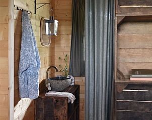 Badkamer van Vakantiehuisje in Oosterwolde Gelderland met moderne wastafel en houten afwerking.