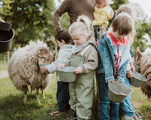 Kinderen voeren schapen bij Vakantiehuisje in Oosterwolde Gelderland, een unieke boerderijervaring.
