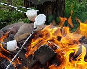 Marshmallows roosteren boven kampvuur bij Huisje in Oosterwolde Gelderland, gezellige avondactiviteit.