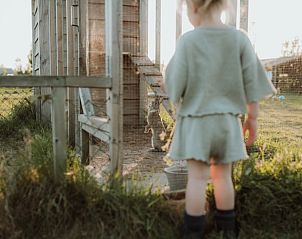 Kinderen voeren dieren bij vakantiehuis Oosterwolde Gelderland, educatieve ervaring op de Veluwe.