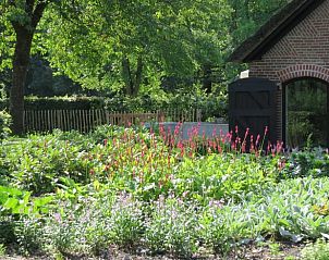 Unterkunft 3227100 - Ferienhaus Veluwe - Vakantiehuis in Epe
