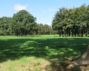 Unterkunft 3227100 - Ferienhaus Veluwe - Vakantiehuis in Epe