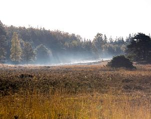Verblijf 3227103 - Vakantiewoning Veluwe - Vakantiehuisje in Epe