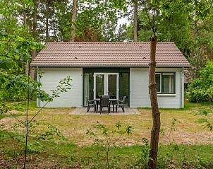 Vakantiehuis in Epe omgeven door Veluwse natuur, perfect voor een ontspannen verblijf in Gelderland.