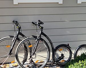 Ferienhaus in Epe, Veluwe, Gelderland bietet Fahrradverleih fr die Erkundung der schnen Umgebung.