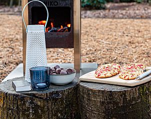 Unterkunft 3227119 - Ferienhaus Veluwe - Vakantiehuisje in Epe