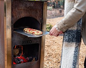 Unterkunft 3227119 - Ferienhaus Veluwe - Vakantiehuisje in Epe