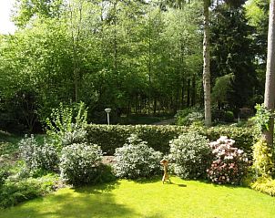 Vacation home in Epe surrounded by the green nature of the Veluwe, Gelderland, with a beautiful view of the wooded landscape.