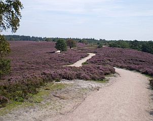 Guest house 322711 - Holiday property Veluwe - Vakantiehuis in Epe