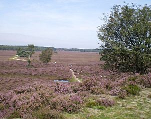 Guest house 322711 - Holiday property Veluwe - Vakantiehuis in Epe