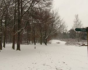 Guest house 322711 - Holiday property Veluwe - Vakantiehuis in Epe