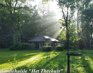 Unterkunft 322712 - Ferienhaus Veluwe - Huisje in Epe