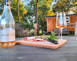 Geniet van een glas wijn op het terras van Vakantiehuis in Epe, Veluwe, Gelderland, omgeven door natuur.
