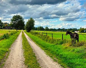 Rustieke weg met weids uitzicht nabij Vakantiehuis in Epe, Veluwe, Gelderland met grazend paard.