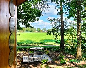 Uitzicht vanaf de veranda van Vakantiehuis in Epe, Veluwe, Gelderland op groene velden en bomen.