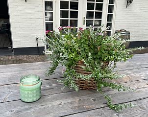 Groene omgeving bij Vakantiehuisje in Epe, Veluwe, ideaal voor natuurliefhebbers.