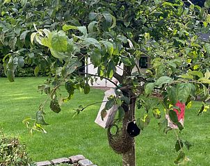Schitterend uitzicht op de Veluwe bij zonsondergang vanuit Vakantiehuisje in Epe.