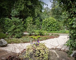 Unterkunft 3227124 - Ferienhaus Veluwe - Vakantiehuisje in Epe