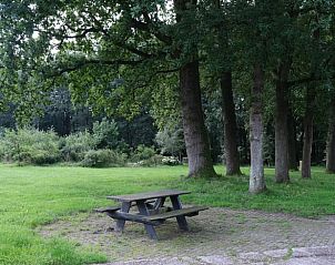 Picnic area in the garden of Holiday home in Epe, Veluwe, Gelderland surrounded by trees.