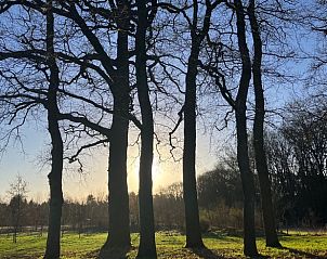 Beautiful view of trees and sunset at Holiday home in Epe, Veluwe, Gelderland.