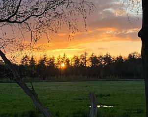 Breathtaking sunset at Holiday home in Epe, Veluwe, Gelderland with silhouettes of trees.