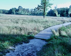 Natural hiking trail through grassland near Holiday home in Epe, Veluwe, Gelderland.