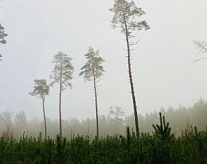 Unterkunft 3227128 - Ferienhaus Veluwe - Huisje in Epe