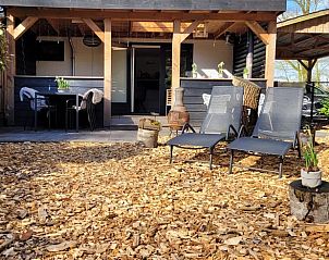 Guest house 3227129 - Holiday property Veluwe - Vakantiehuisje in Epe