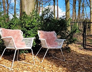 Guest house 3227129 - Holiday property Veluwe - Vakantiehuisje in Epe