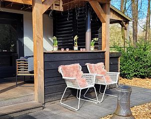 Guest house 3227129 - Holiday property Veluwe - Vakantiehuisje in Epe