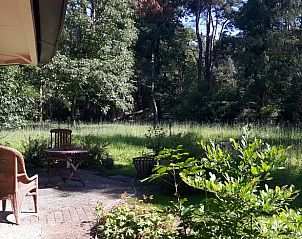 Unterkunft 322712 - Ferienhaus Veluwe - Huisje in Epe
