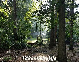 Unterkunft 322712 - Ferienhaus Veluwe - Huisje in Epe