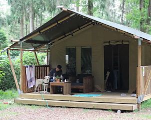 Verblijf 3227130 - Tenthuis Veluwe - Safaritent de Das
