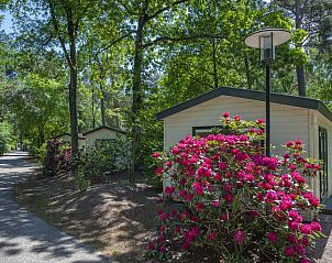 Verblijf 3227136 - Vakantiewoning Veluwe - «Chalet» SK6