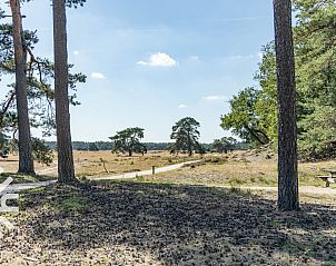 Unterkunft 3227166 - Ferienhaus Veluwe - DG195