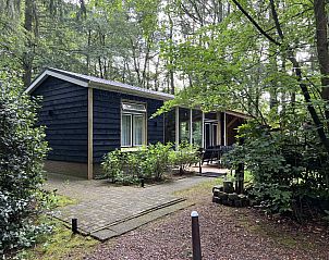 Unterkunft 3227168 - Ferienhaus Veluwe - DG396