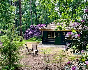 Cozy wood stove at Holiday home in Epe, atmospheric stay in the Veluwe.
