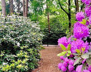 Wooden interior with art in Holiday home in Epe, atmospheric, Veluwe.