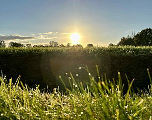 Unterkunft 3227177 - Ferienhaus Veluwe - DG1439