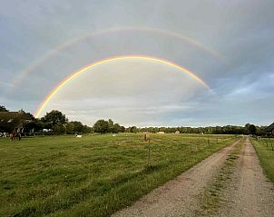 Unterkunft 3227177 - Ferienhaus Veluwe - DG1439