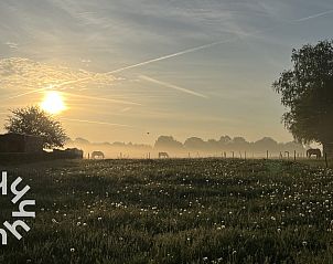 Unterkunft 3227177 - Ferienhaus Veluwe - DG1439