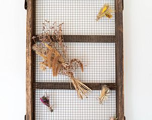 Unterkunft 3227185 - Ferienhaus Veluwe - Uilenhof