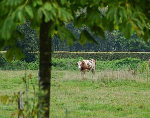 Unterkunft 3227185 - Ferienhaus Veluwe - Uilenhof